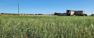 Terreno en venta en Campos