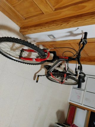 Bicicleta MTB 24 Freerider