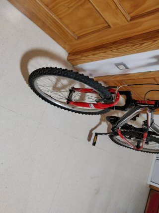 Bicicleta MTB 24 Freerider