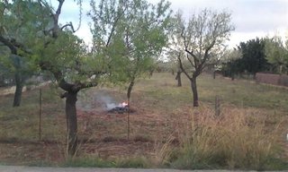 Terreno en venta en Lloseta