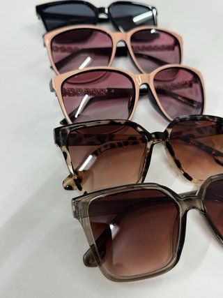 Lote 5 Gafas de Sol Mujer