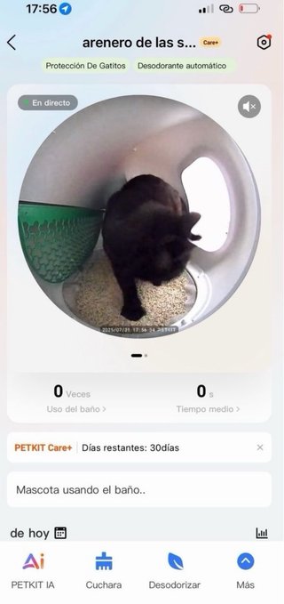 Arenero automático para gatos