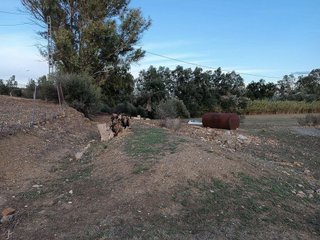 Terreno en venta en Coín