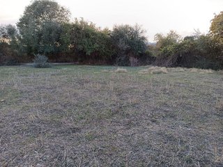 Terreno en venta en Coín
