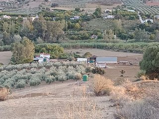 Terreno en venta en Coín