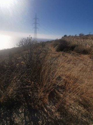 Terreno en venta en Güímar