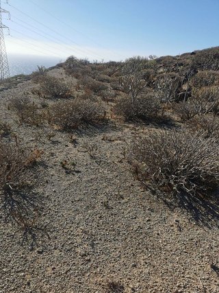 Terreno en venta en Güímar
