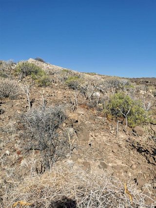 Terreno en venta en Güímar