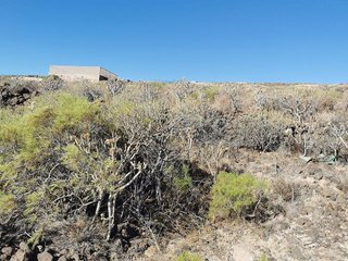 Terreno en venta en Güímar
