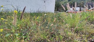 Terreno en venta en Cono Sur en Palmas de Gran Canaria(Las)