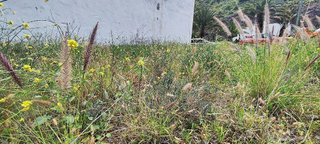 Terreno en venta en Cono Sur en Palmas de Gran Canaria(Las)