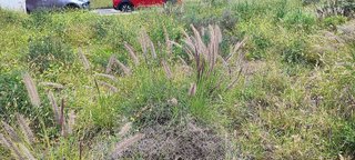 Terreno en venta en Cono Sur en Palmas de Gran Canaria(Las)
