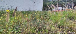 Terreno en venta en Cono Sur en Palmas de Gran Canaria(Las)