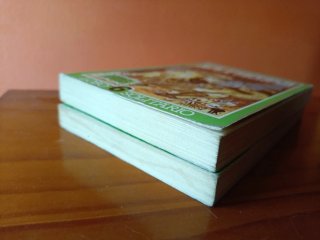 Librojuegos Lobo solitario