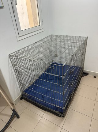 Jaula Perro XXL 120x80cm