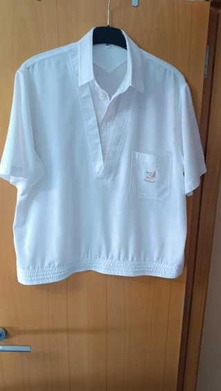 Lote 4 prendas 3 camisa 1 camiseta  T/48  5€ todas