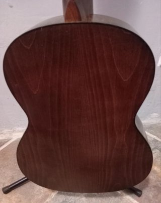 Guitarra Clásica para Estudio