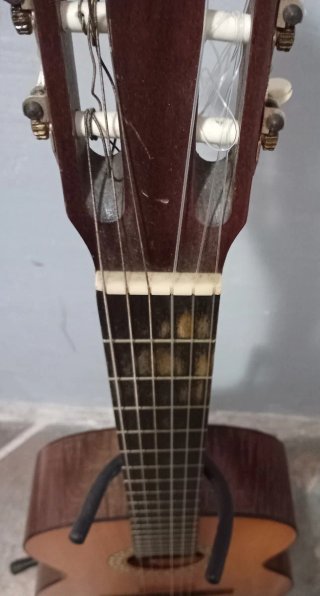 Guitarra Clásica para Estudio