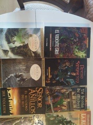 Libros de fantasía épica y ciencia ficción.
