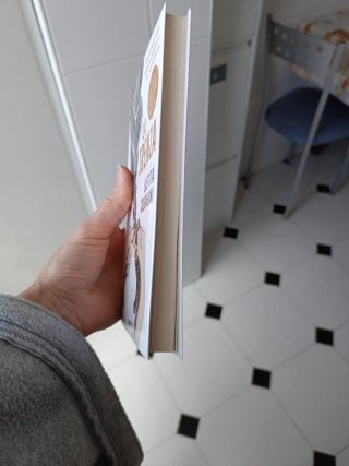 La trenza , libro.