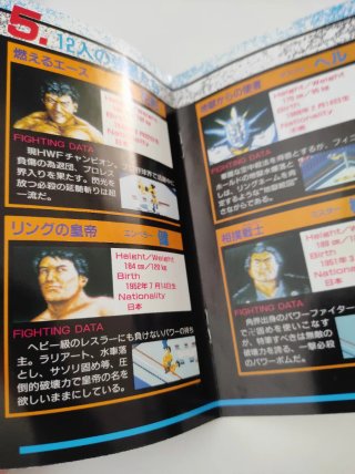 Thunder Pro Wrestling Mega Drive JP