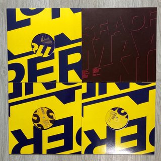 Lote 40 Vinilos Perlon Minimal Techno/Micro House