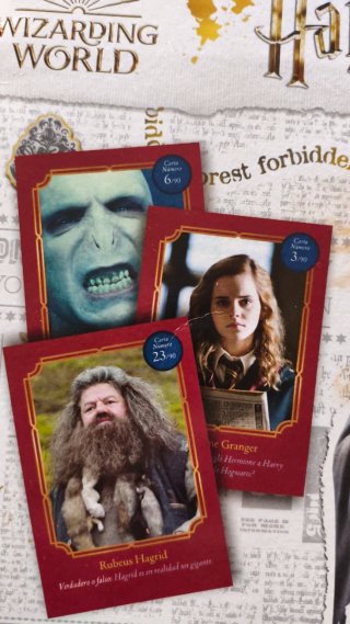 Álbum Harry Potter Carrefour (Completo + regalo)