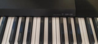 Piano Digital Casio CDP-120