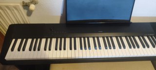 Piano Digital Casio CDP-120