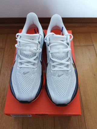 Nike Pegasus 42 Talla 42.5 (27cm)