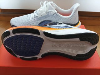 Nike Pegasus 42 Talla 42.5 (27cm)