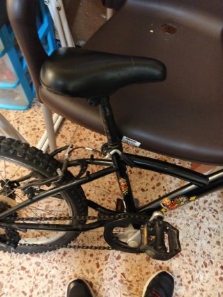 Bici 20 5-10 años