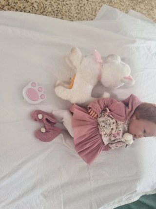 Muñeca Reborn con peluche y patita