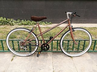 BICI PASEO REMODELADA