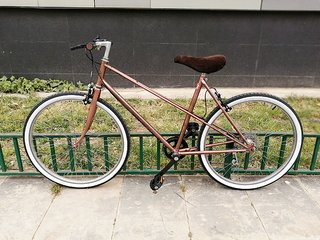 BICI PASEO REMODELADA