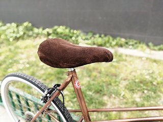 BICI PASEO REMODELADA