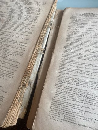 Diccionario italiano latin 1853