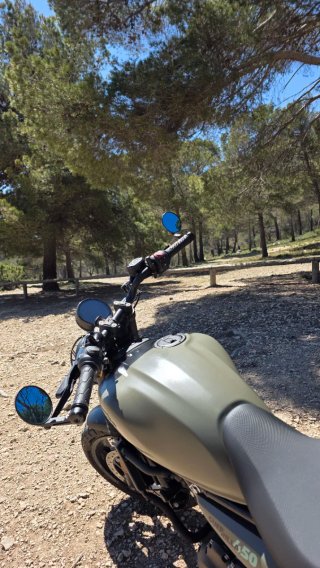 Royal Enfield Guerrilla 450 Naked