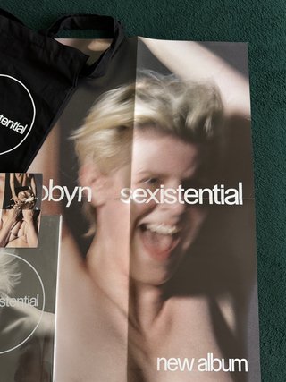 Vinilo Robyn Delux + extras