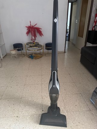 Aspirador 2 en 1 Easy Home