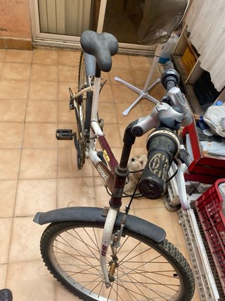Bicicleta de montaña