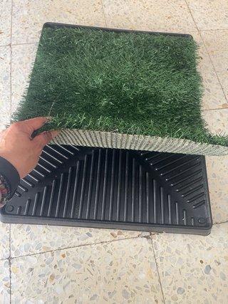 Empapador pipi can