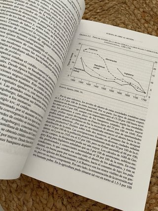 Historia económica mundial siglos X-XX