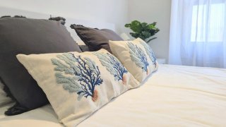 Conjunto 4 Cojines Decorativos