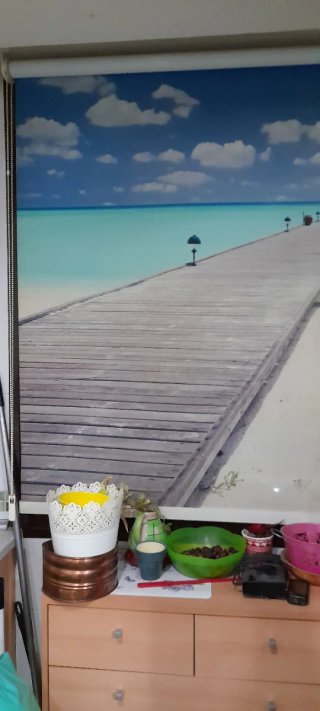 Estor enrollable con paisaje de playa