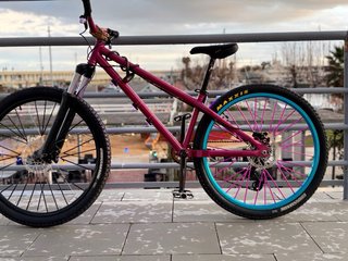 Bici Stunt Morada