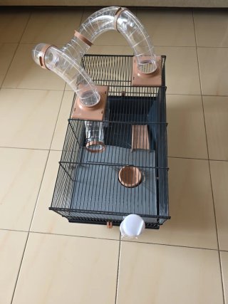 Jaula Hámster con Tubos y Accesorios