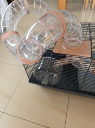 Jaula Hámster con Tubos y Accesorios