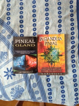 Pack 2 libros glándula pineal