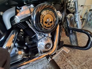 Harley Davidson Sotfail Standard